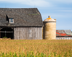 The patchwork roofing adds color to this Door County, WI, farm scene.