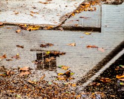 A culinary school is reflected in the roadside pool from an autumn rain.