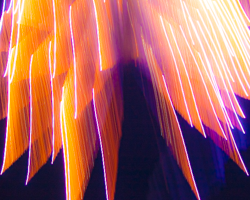 Light Shows in the Night Skies