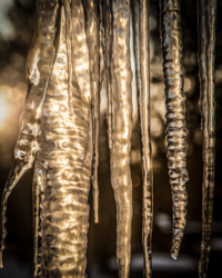 From a distance icicles appear to be frozen water spears but up close they reveal swirling rings of ice stacked on top of each other, some shaped like glass rods, some like winter reeds, some like braided bull whips. All glisten like liquid light suspended in time.