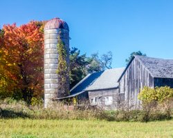 This mapled lane proves picturesque in any season.