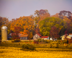 Beeches, maples, and oaks provide a colorful fall backdrop for this Door County, WI, farm.